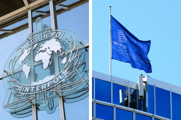 WIPO and INTERPOL Recruit Language Department Heads